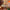 files/CheckityCheckCheck_RetroTones_LH900524_19251_WEB.webp