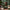 files/JungleBeat_JungleGreenandGold_LH900493_0985_WEB.jpg