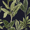 Paradiso Wallpaper in Midnight Blue