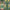 Green and Gold Decadent Wallpaper