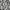 Good Vibrations Wallpaper in Monochrome