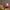 files/Lifes-a-Peach_Peachy-Pink-on-Teal_LH900486_2949_WEB.jpg