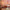 files/MehndiMagic_HotBrights_LH900508_1452_WEB.webp