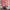 files/SignatureStripe_CandyFlossandPoisonApple_LH900461_0009_WEB.jpg